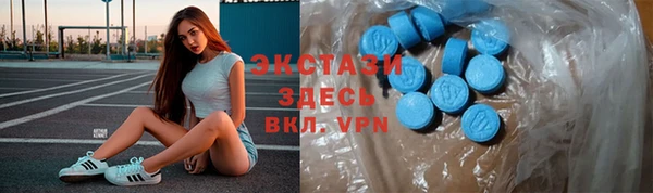 дмт Каменка