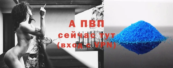 2c-b Каменногорск