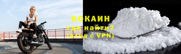 дмт Каменка