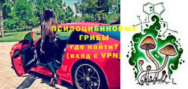 ECSTASY Корсаков