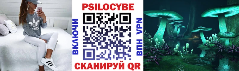 Купить где  Канаш  Галлюциногенные грибы Cubensis 