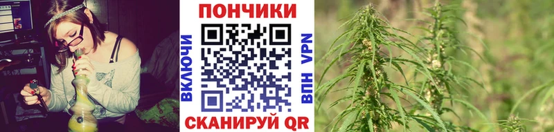Купить закладки  Канаш  Шишки марихуана план 